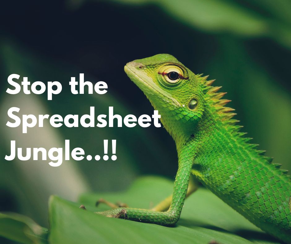Stop the Spreadsheet Jungle..!!